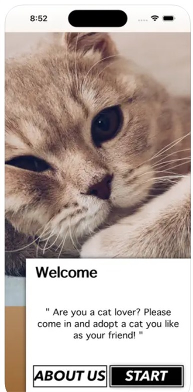 爱猫物语宠物店免费app截图2