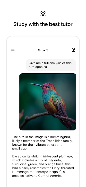 grok中文版截图1