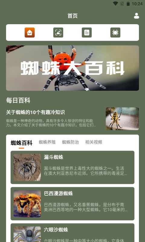蜘蛛大玩家百科截图1