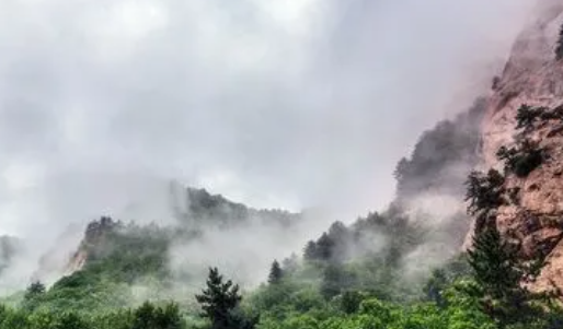 毛毛子视频免费版下载