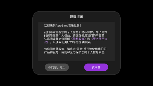 AeroBand Guitar隐私协议界面