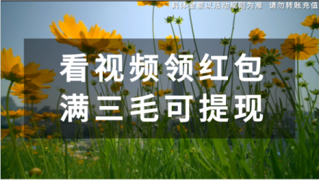 天天刷刷乐红包版