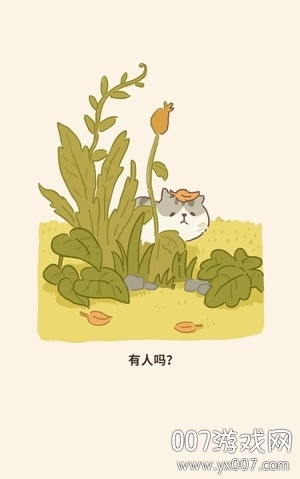动物餐厅趣味版 动物餐厅趣味版