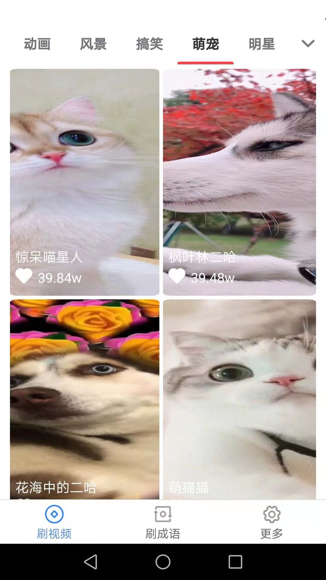 乐刷刷app截图3