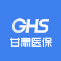 甘肃医保服务平台最新版