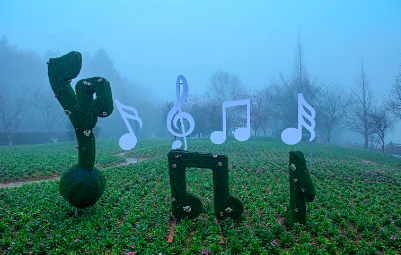 LinLi Music最新版下载 LinLi Music最新版下载