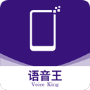 语音王最新版本下载
