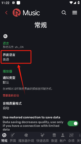 RiMusic音乐手机版下载 RiMusic音乐手机版下载
