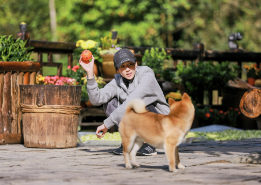 美益达影视app安卓最新版下载安装