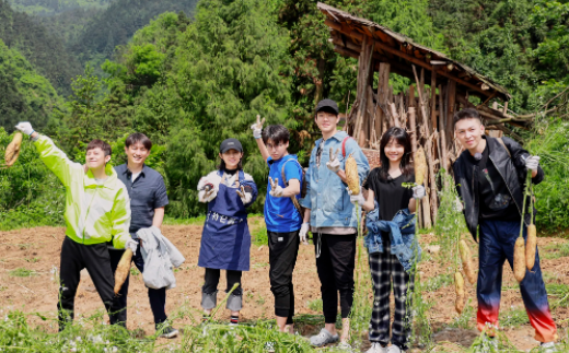 木星视频播放器下载安装