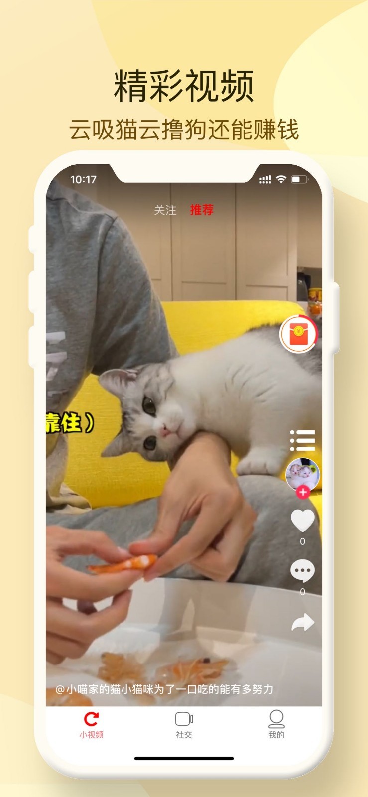 小萌猫app截图1