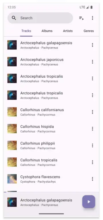 Phocid音乐自动扫描 Phocid音乐自动扫描