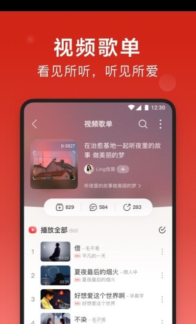 DsoMusic安卓版截图1