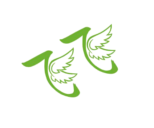 飞飞TV电视盒子