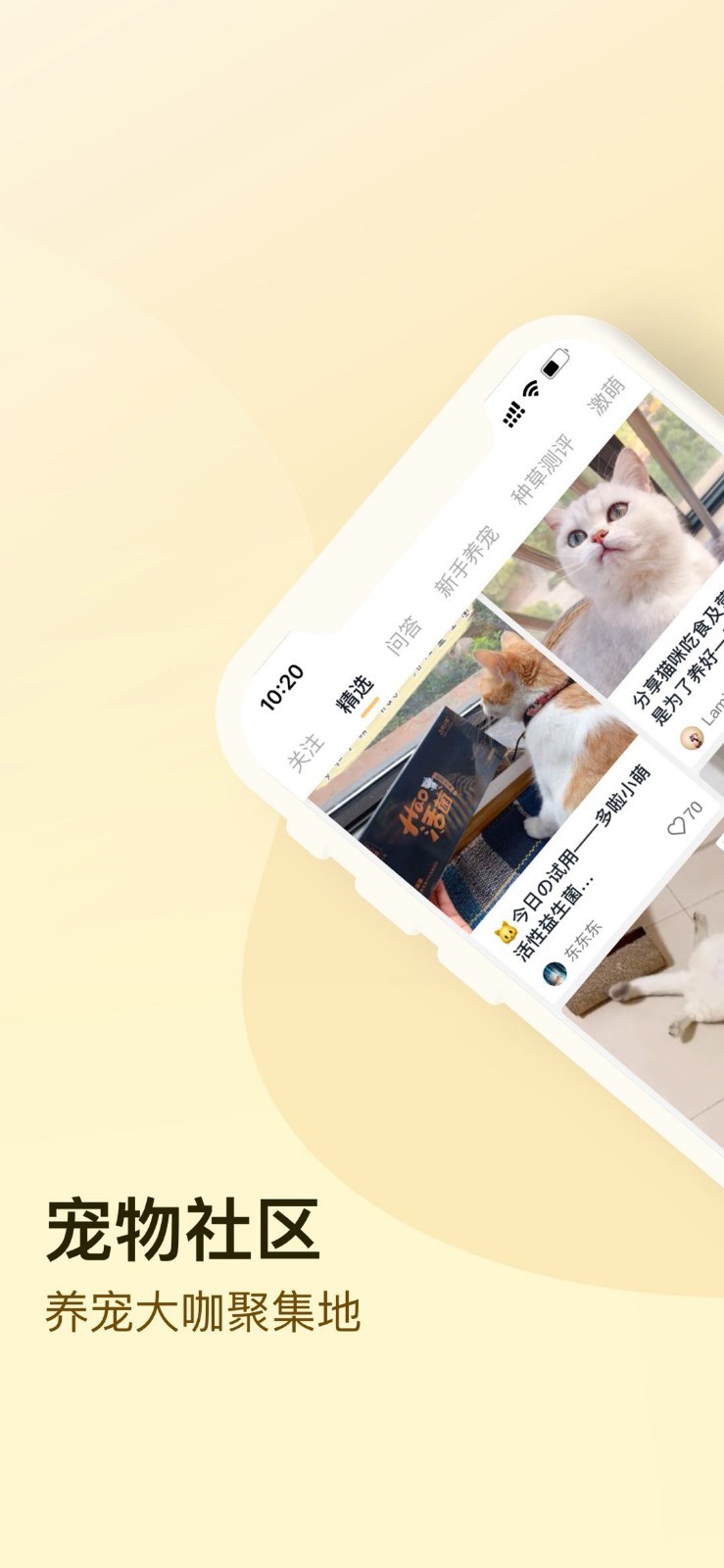 小萌猫app截图2