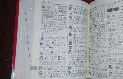 新华字典app新词新义