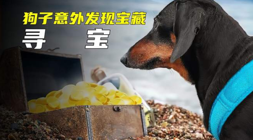 好看视频极速版官方下载最新版安装2023 好看视频极速版官方下载最新版安装2023