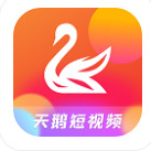 天鹅短视频app官方版下载
