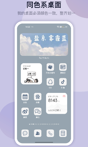 top widgets安卓版截图3
