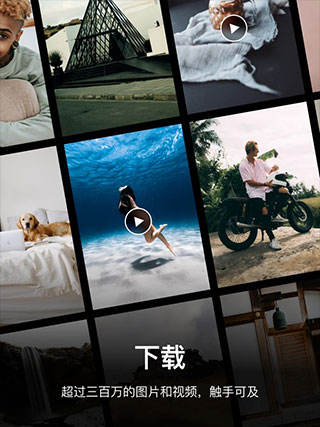 Pexels中文版截图3