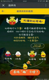 开心趣养鸡截图1