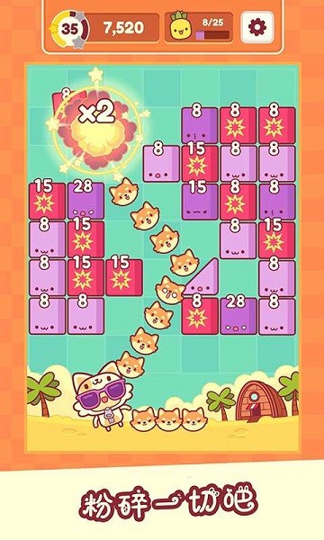 我是猫老大截图1