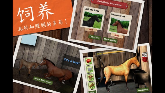 德比赛马截图2