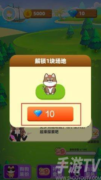 柴犬日记