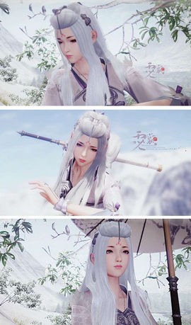 梦回仙灵岛截图1