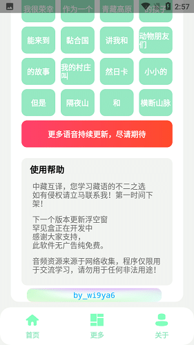 丁真盒截图1