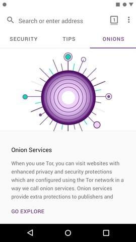 Tor安卓浏览器app截图2