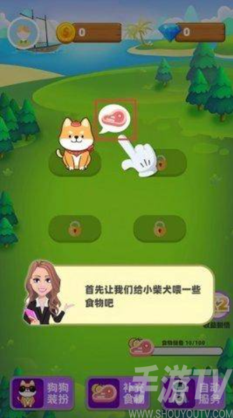 柴犬日记