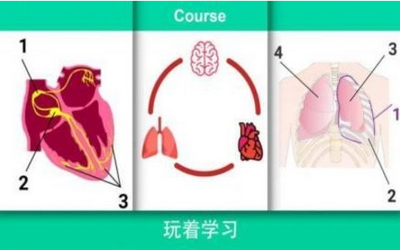 现实医疗模拟器截图3