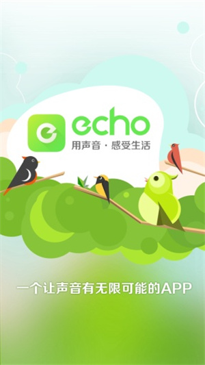 echo截图2