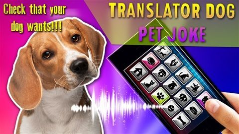 Pet Translator截图1