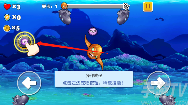 疯狂章鱼