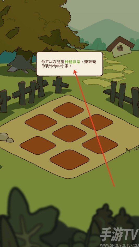 有机蔬菜农场