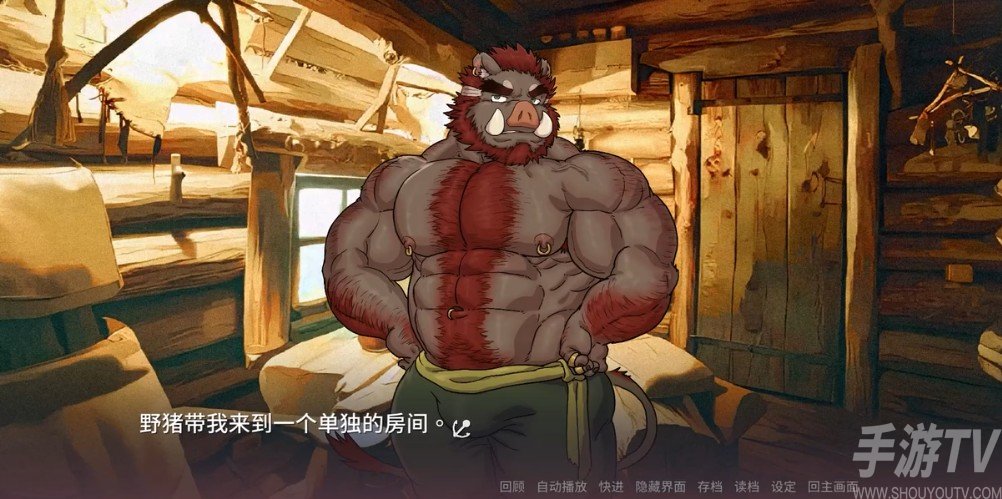 我的海盗老公