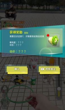套圈盘老板游戏截图3