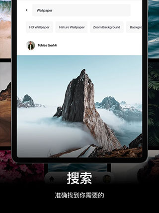 Pexels中文版截图2