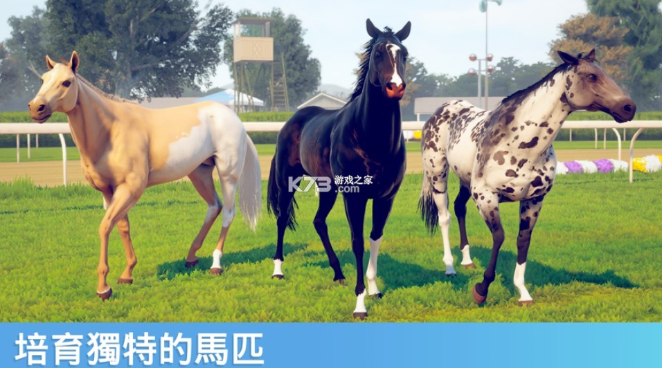 家族传奇马匹养成竞技最新版截图3