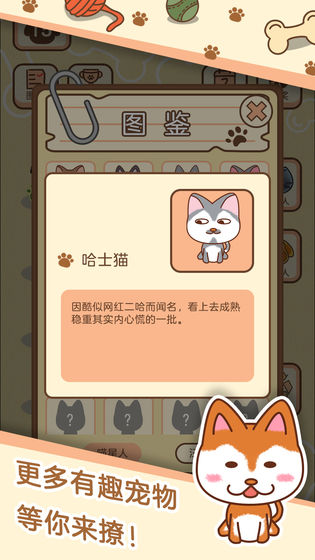 宠物星球截图1