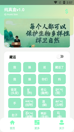 丁真盒截图3