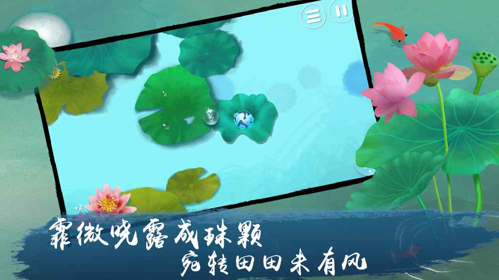 荷露截图1