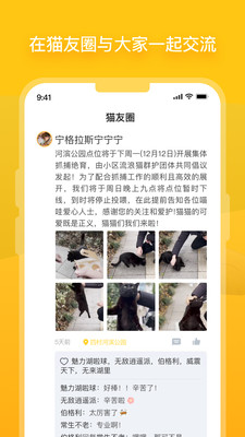 哈啰街猫免费版截图3
