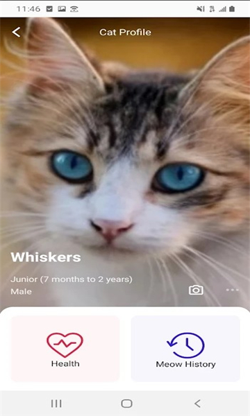 喵说meowtalkapp截图2