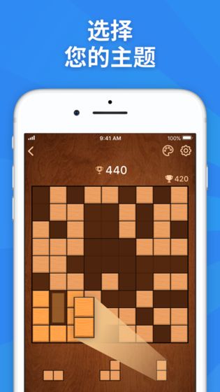 BlockuDoku方块拼图截图1