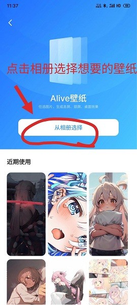 alive壁纸app截图2