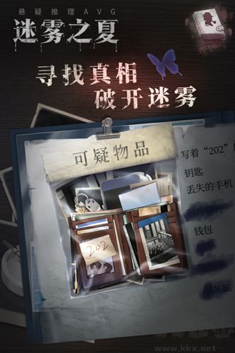 迷雾之夏截图2