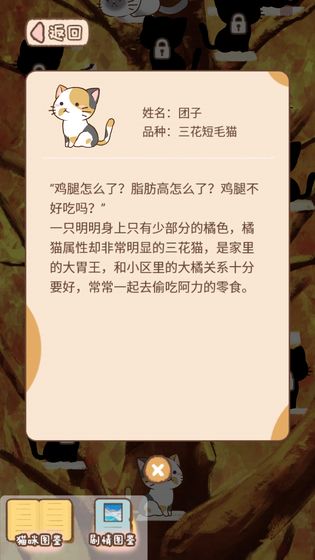 猫宅97截图2